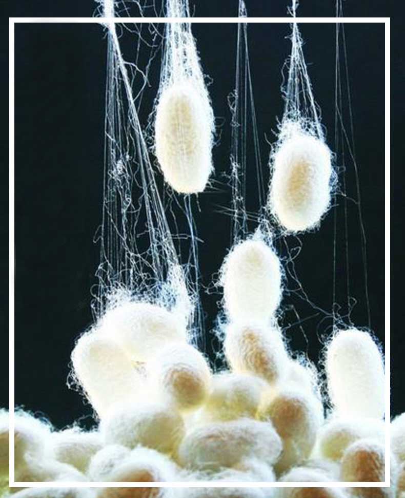 真絲圍巾的價格——真絲圍巾、真絲絲巾、圍巾定制 真絲圍巾的價格——真絲圍巾、真絲絲巾、圍巾定制